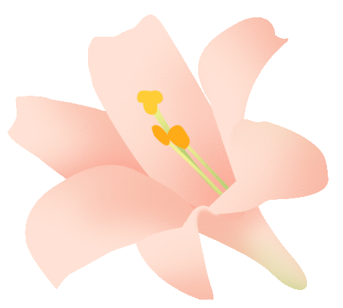 ̬Լ ݮá agŮڲժ
